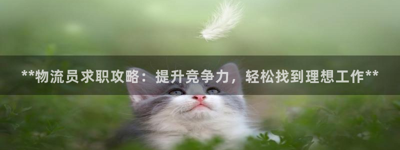 28圈.ccmpc29官网版：**物