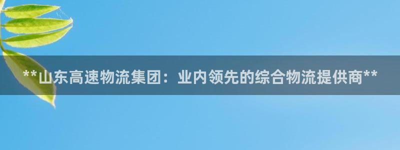 28圈官网网站：**山东高速物流集团