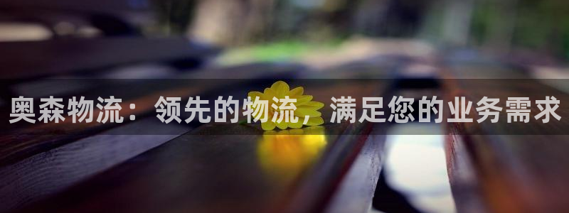 28圈充值为什么充不了：奥森物流：领