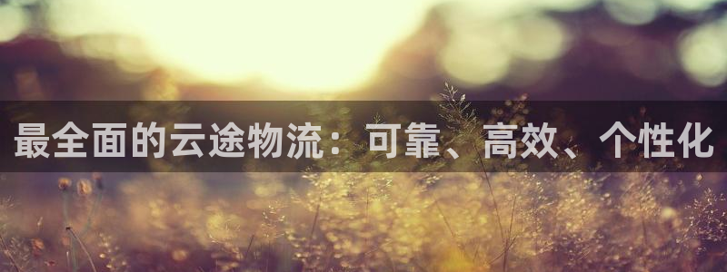 28圈注册条件：最全面的云途物流：可靠、高效、个性化