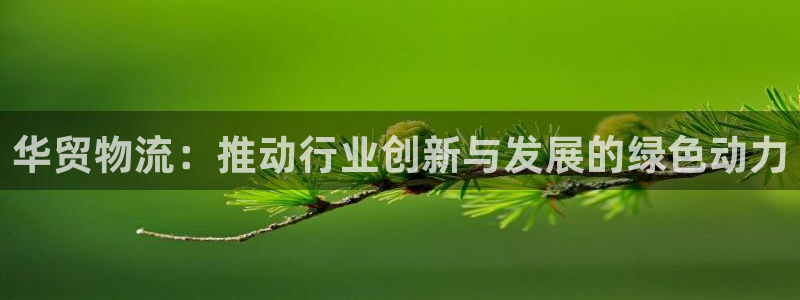 28圈初始资金密码在哪里改