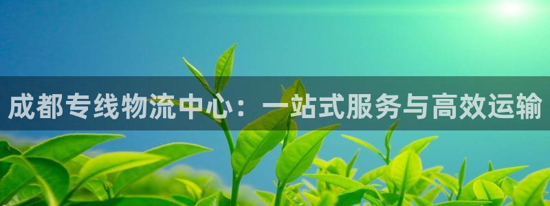28圈正规吗?
