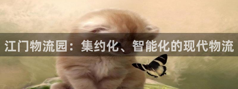 28圈模拟器在线玩