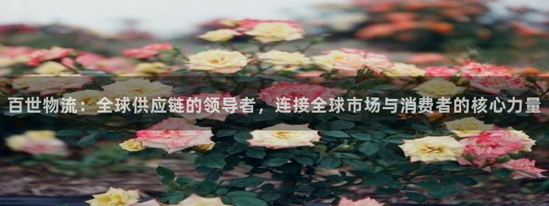 28圈预测加拿大师准