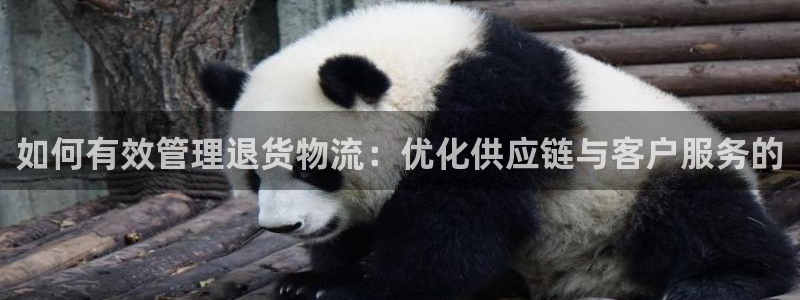 28圈官网平台下载