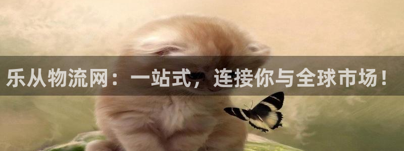 28圈免费