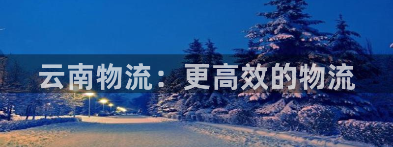 28圈充值金额随便
