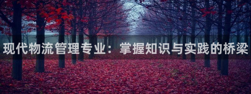 28圈正规吗?：现代物流管理专业：掌