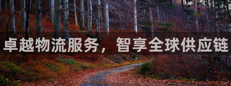 28圈加拿大在线预测：卓越物流服务，