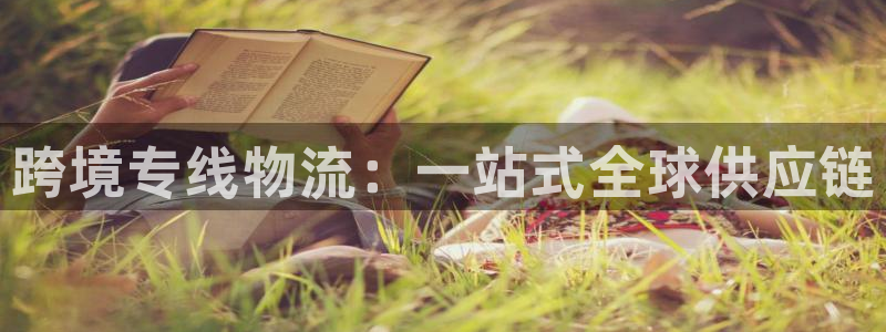 28圈娱乐官网网页下载：跨境专线物流