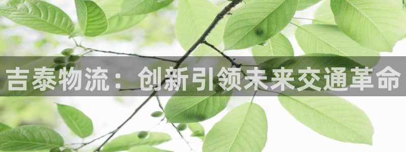 28圈能赢钱吗：吉泰物流：创新引领未