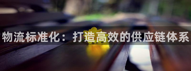 28圈南宫娱乐官网:物流标准化:打造