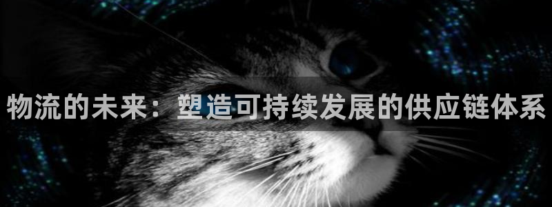 28圈在线预测官网:物流的未来:塑造