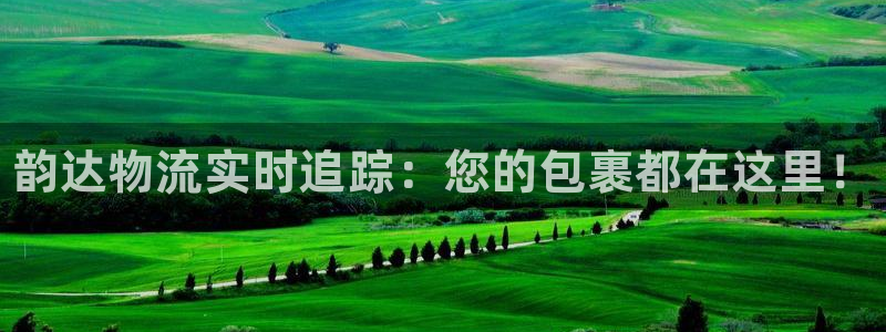 麻将128圈:韵达物流实时追踪:您的