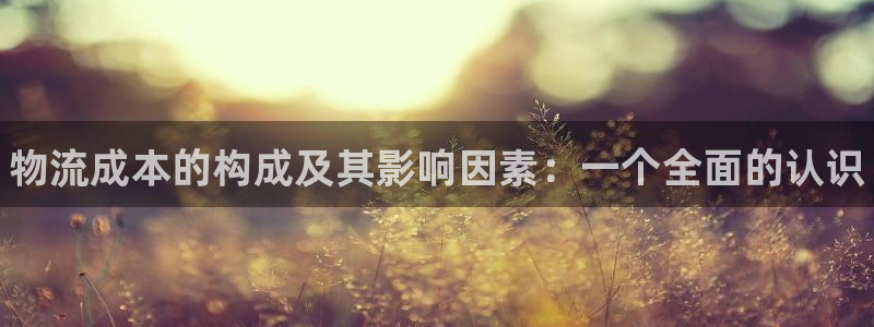 28圈.ccm正版:物流成本的构成及