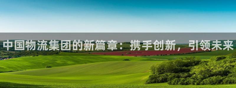 28圈代理落网:中国物流集团的新篇章