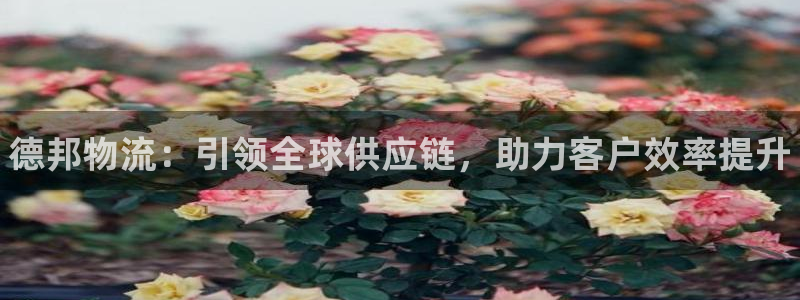 28圈注册账号:德邦物流:引领全球供