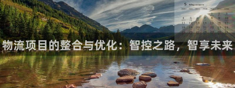 28圈代理落网：物流项目的整合与优化：智控之路，智享未来