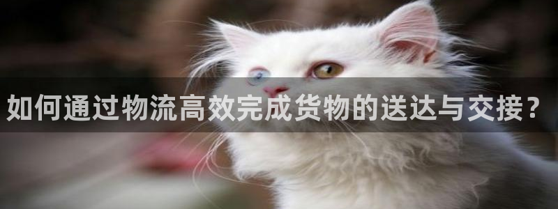 28圈cn:如何通过物流高效完成货物