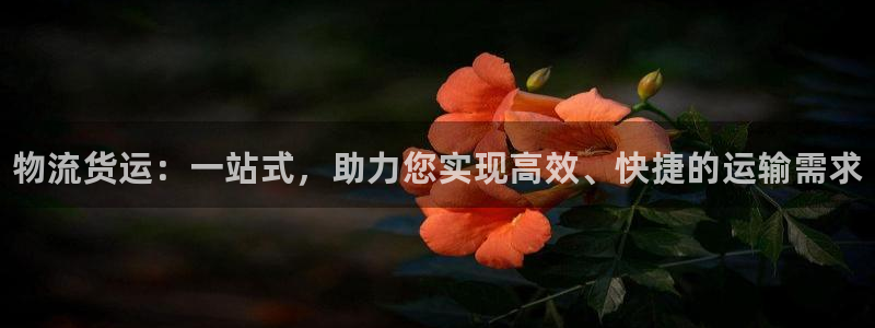 28圈比特28预测在线预测:物流货运