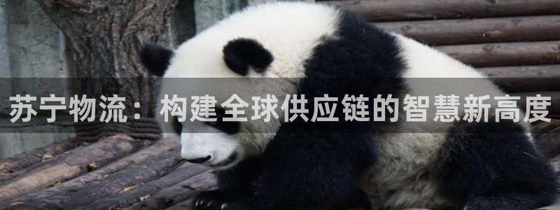 28圈官方版网站：苏宁物流：构建全球