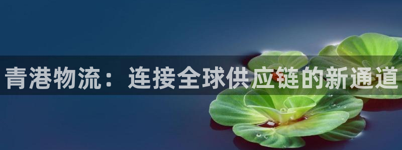 28圈最稳打法：青港物流：连接全球供