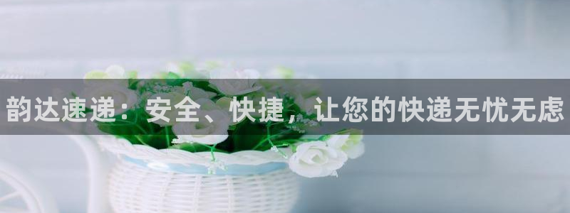 28圈里的财神：韵达速递：安全、快捷