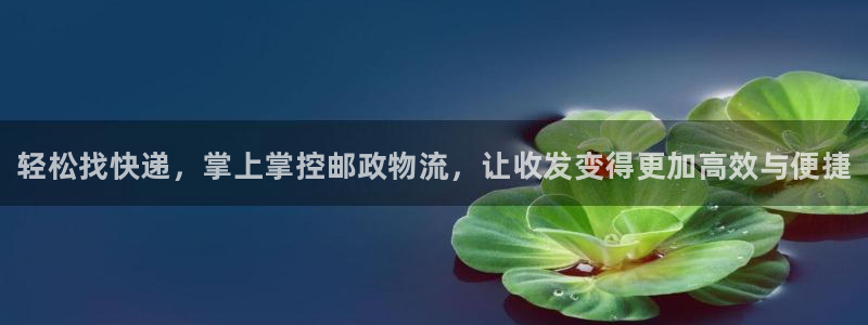 28圈软件是诈骗吗：轻松找快递，掌上