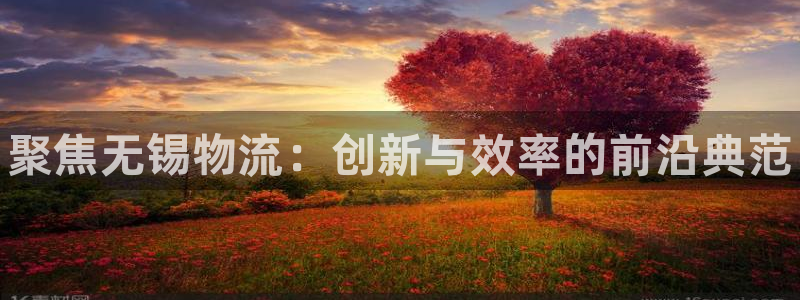 28圈软件有什么用：聚焦无锡物流：创