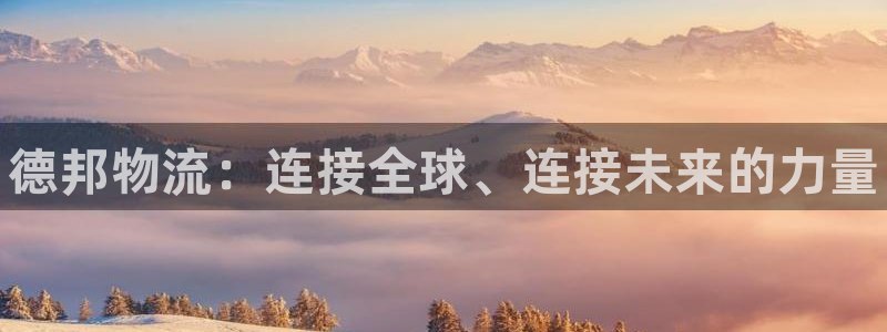 28圈退款教程：德邦物流：连接全球、