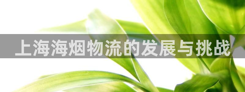 28圈游戏：上海海烟物流的发展与挑战