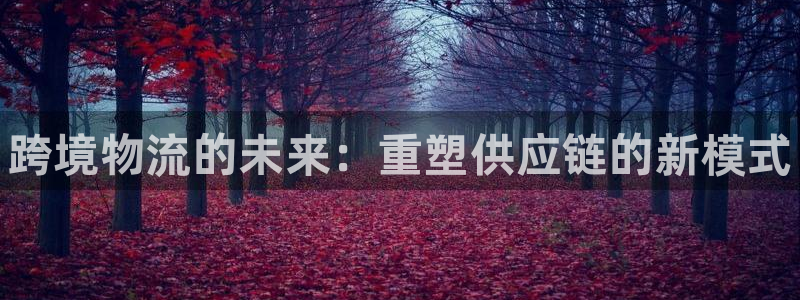 28圈注册用户名是什么：跨境物流的未