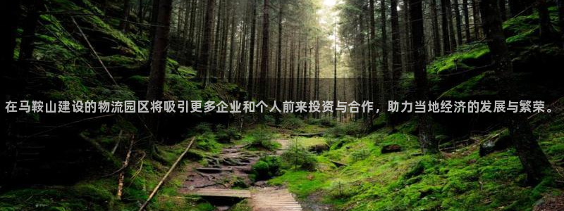 28圈APP是干什么的：在马鞍山建设