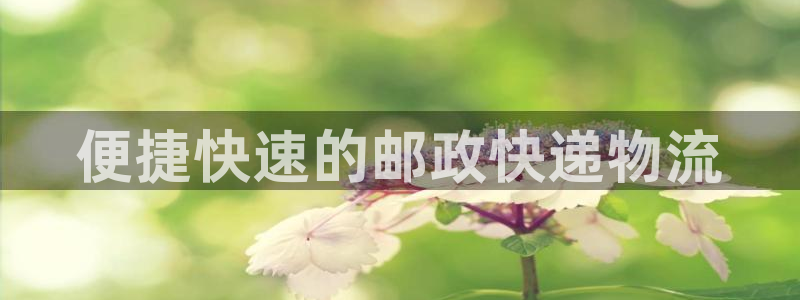 28圈电子游戏：便捷快速的邮政快递物