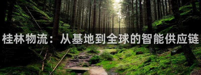 28圈官网链接：桂林物流：从基地到全