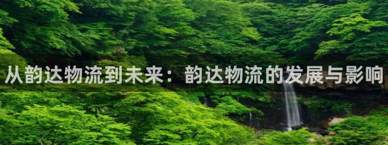 28圈游戏官网平台：从韵达物流到未来