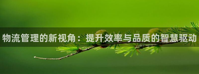 28圈头像：物流管理的新视角：提升效