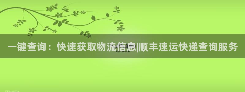 28圈注册网站多少钱：一键查询：快速