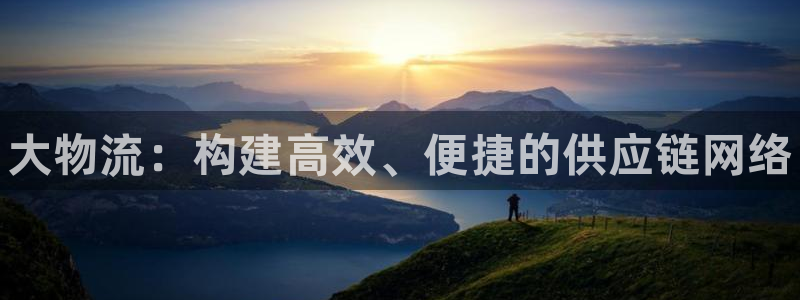 28圈系统自动保护：大物流：构建高效