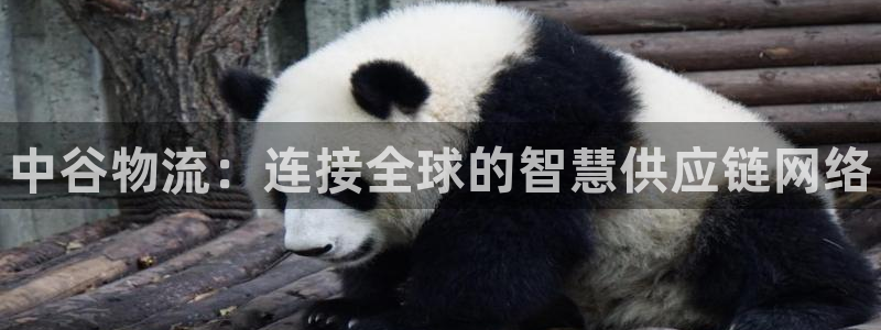 28圈提款一直没到：中谷物流：连接全