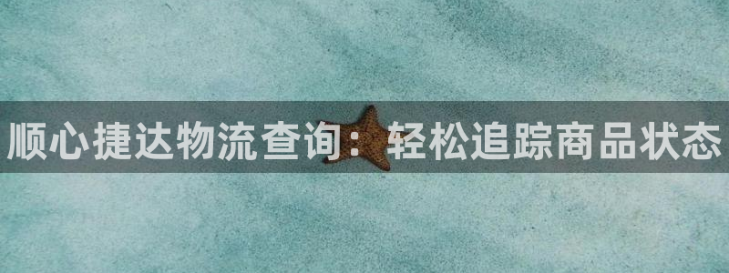 28圈怎么下载不了：顺心捷达物流查询