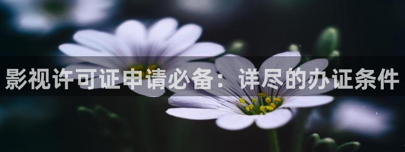 悟空悟空悟空免费观看高清：影视许可证申请必备：详尽的办证条件