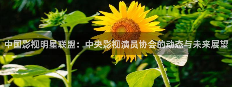 悟空表演视频：中国影视明星联盟：中央影视演员协会的动态与未来展望