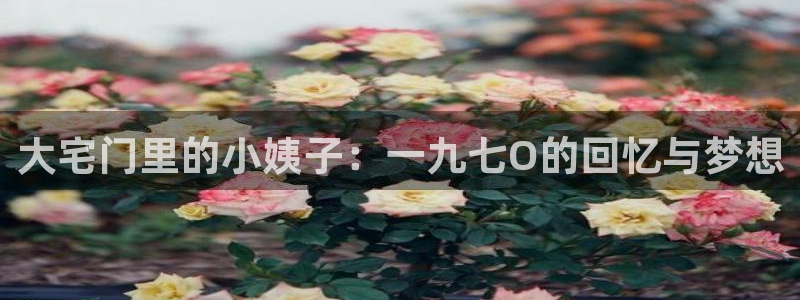悟空视频在线看：大宅门里的小姨子：一九七O的回忆与梦想