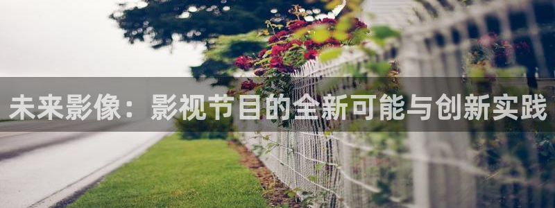 下载悟空视频影视：未来影像：影视节目的全新可能与创新实践