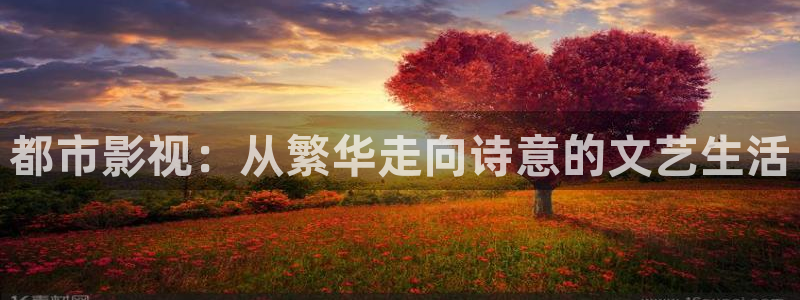 悟空影视在线观看免费观看电视剧：都市影视：从繁华走向诗意的文艺生活
