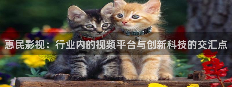 孙悟空取经视频：惠民影视：行业内的视频平台与创新科技的交汇点