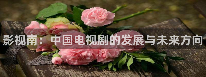 孙悟空七十二变视频：影视南：中国电视剧的发展与未来方向